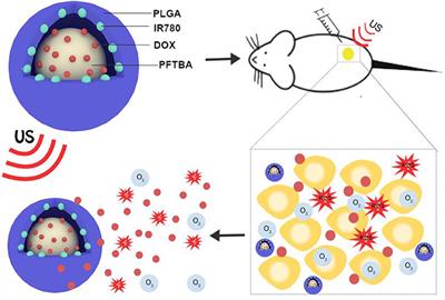 Oxygen-Sufficient Nanoplatform for Chemo-Sonodynamic Therapy of Hypoxic Tumors